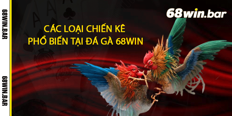 Các loại chiến kê phổ biến tại đá gà 68win